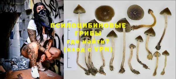 твердый Абинск