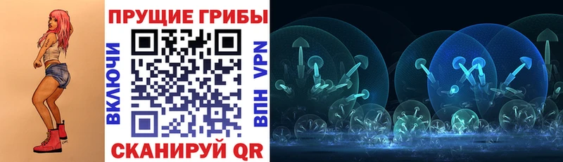 Галлюциногенные грибы GOLDEN TEACHER  дарнет шоп  кракен как войти  Туапсе 