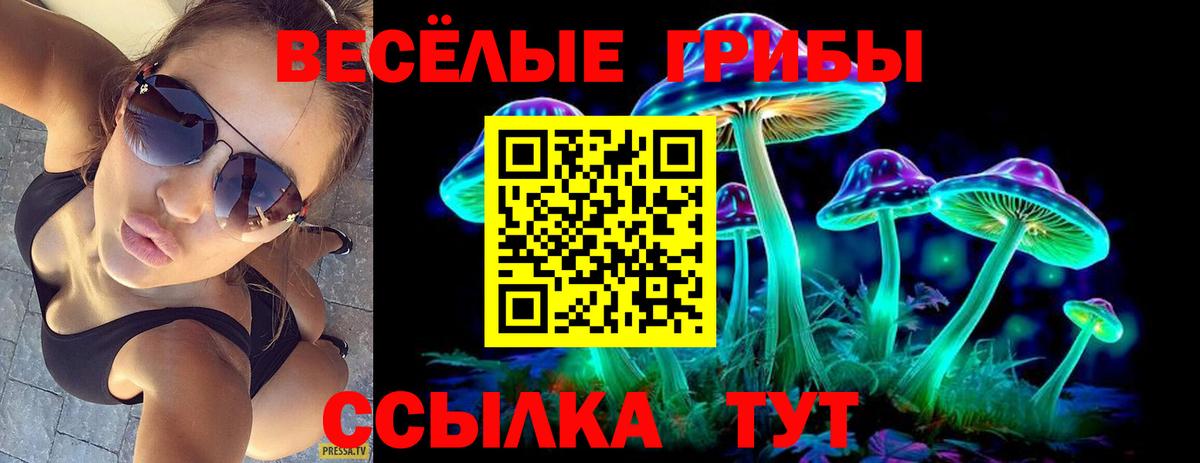 Псилоцибиновые грибы GOLDEN TEACHER Туапсе